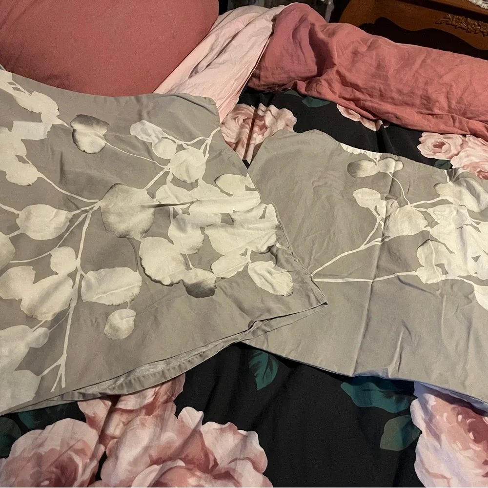 West Elm~ Gorgeous Cream Gray Floral Pillowcases~Cotton~Square 26x26